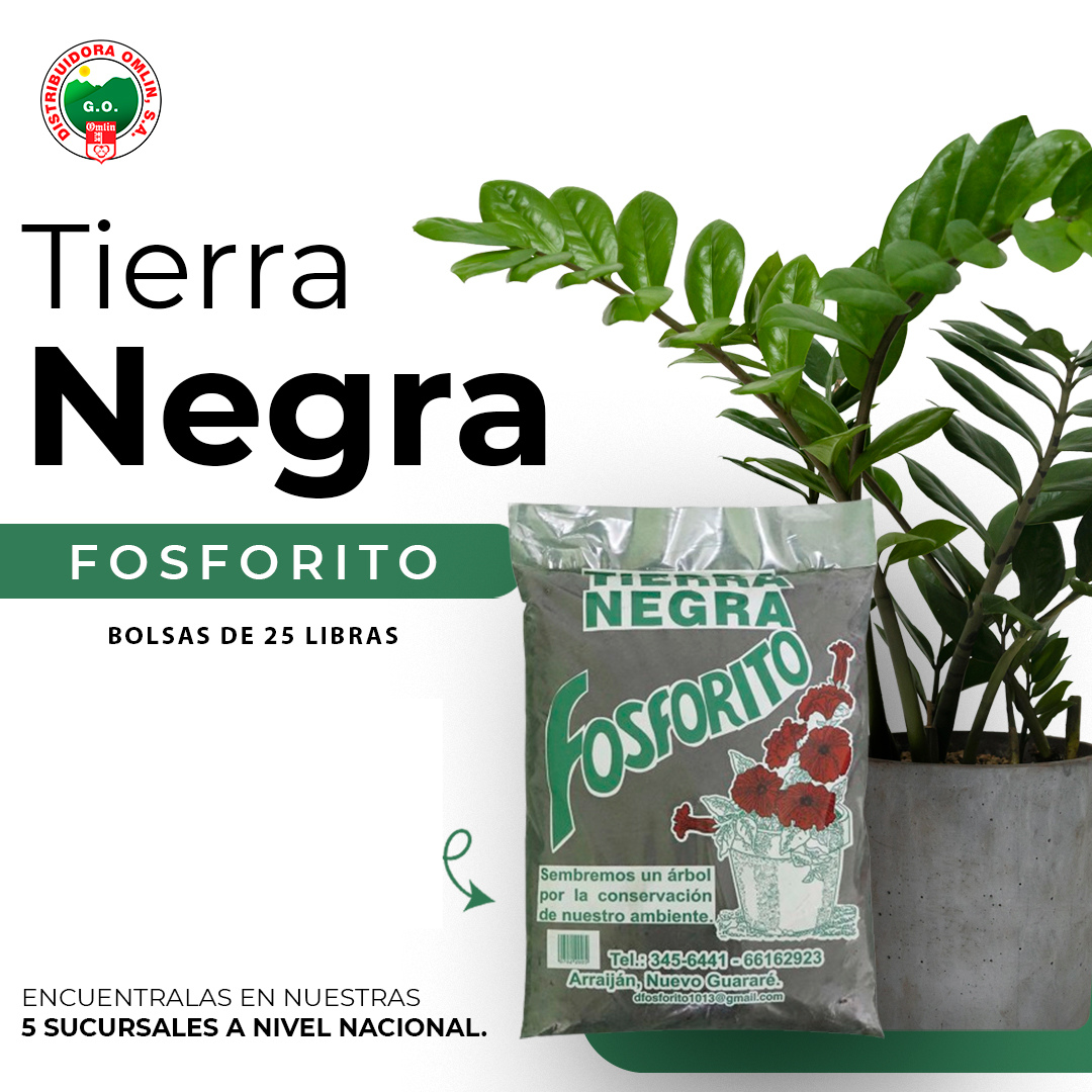 TIERRA NEGRA